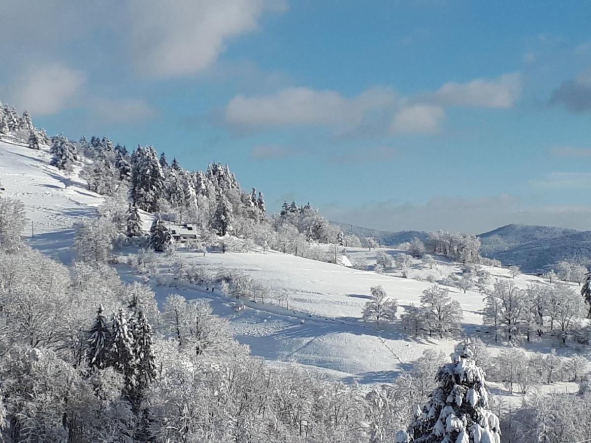 Le Chalet De Cathy Soultzeren Εξωτερικό φωτογραφία